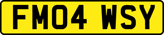 FM04WSY