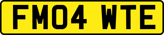 FM04WTE