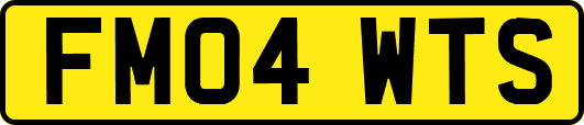 FM04WTS
