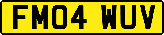 FM04WUV