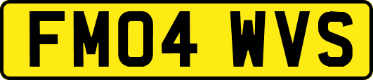FM04WVS