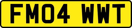 FM04WWT