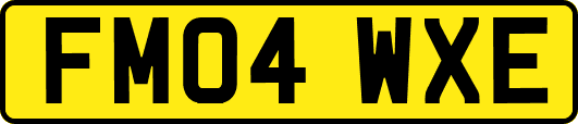 FM04WXE