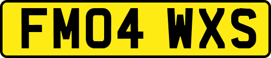 FM04WXS