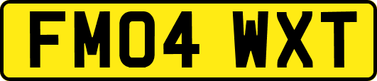 FM04WXT