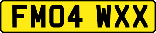 FM04WXX