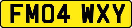 FM04WXY