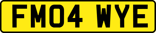 FM04WYE