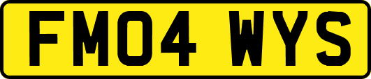 FM04WYS