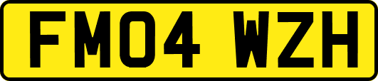 FM04WZH