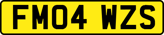 FM04WZS