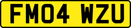FM04WZU
