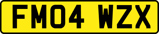 FM04WZX
