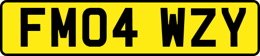 FM04WZY