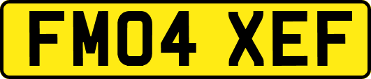 FM04XEF