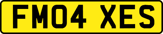 FM04XES