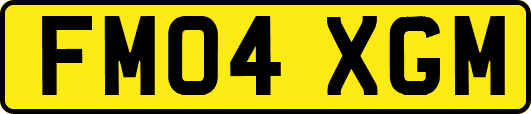 FM04XGM