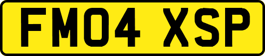 FM04XSP