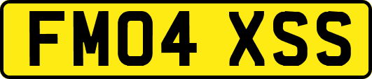 FM04XSS
