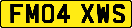 FM04XWS