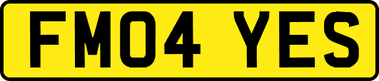 FM04YES