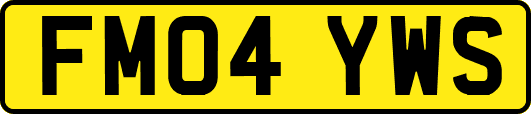 FM04YWS