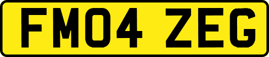 FM04ZEG