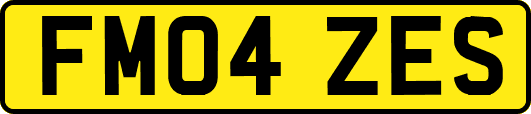 FM04ZES