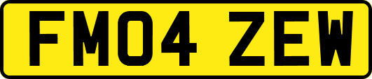 FM04ZEW