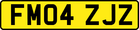 FM04ZJZ