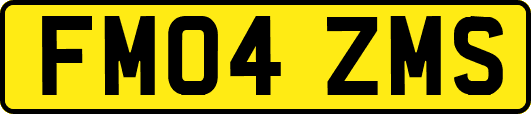 FM04ZMS