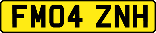 FM04ZNH