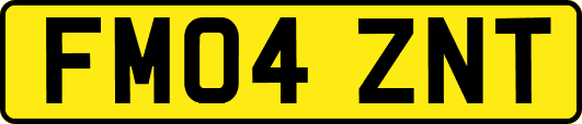 FM04ZNT