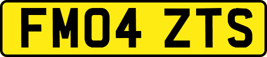FM04ZTS