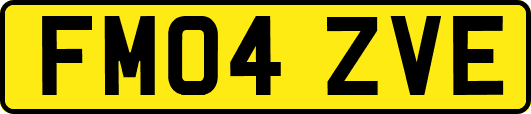 FM04ZVE