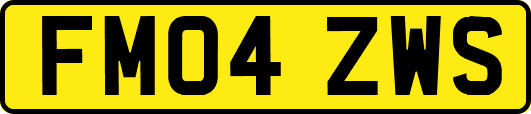 FM04ZWS