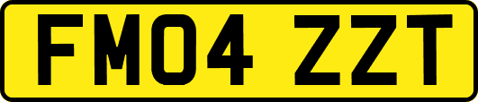 FM04ZZT