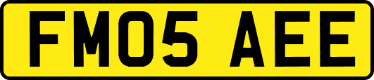 FM05AEE