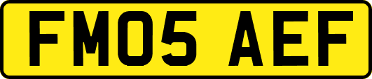 FM05AEF