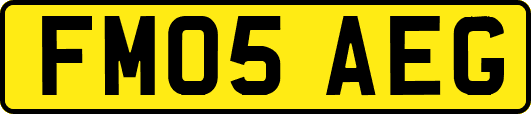 FM05AEG