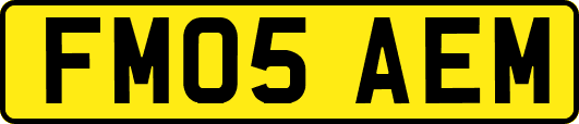 FM05AEM