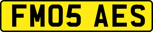 FM05AES