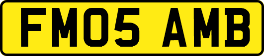 FM05AMB