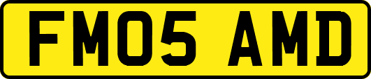 FM05AMD