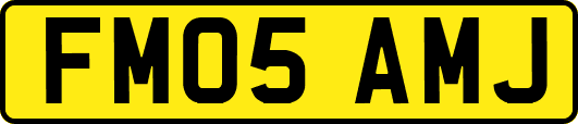 FM05AMJ