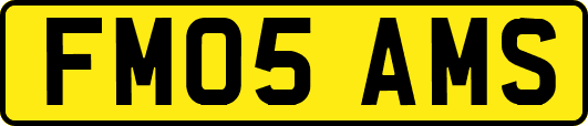 FM05AMS
