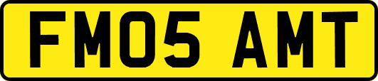 FM05AMT