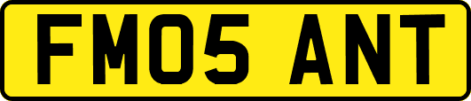FM05ANT