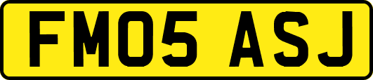 FM05ASJ
