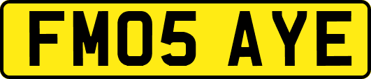 FM05AYE